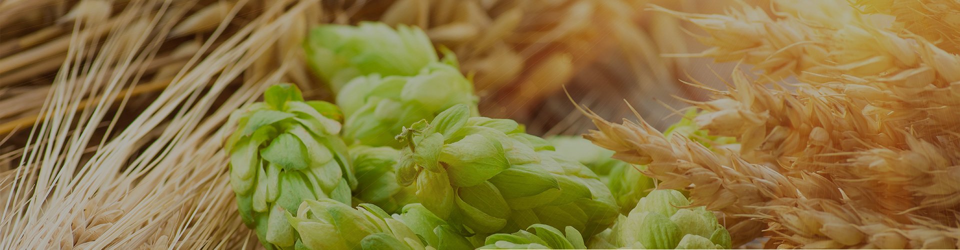 ABOUT關於柏克金