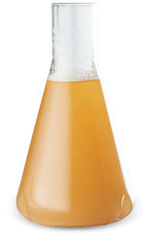 100% 新鮮擴培酵母